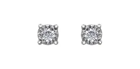 10K White Gold Diamond Illuminaire Stud Earrings