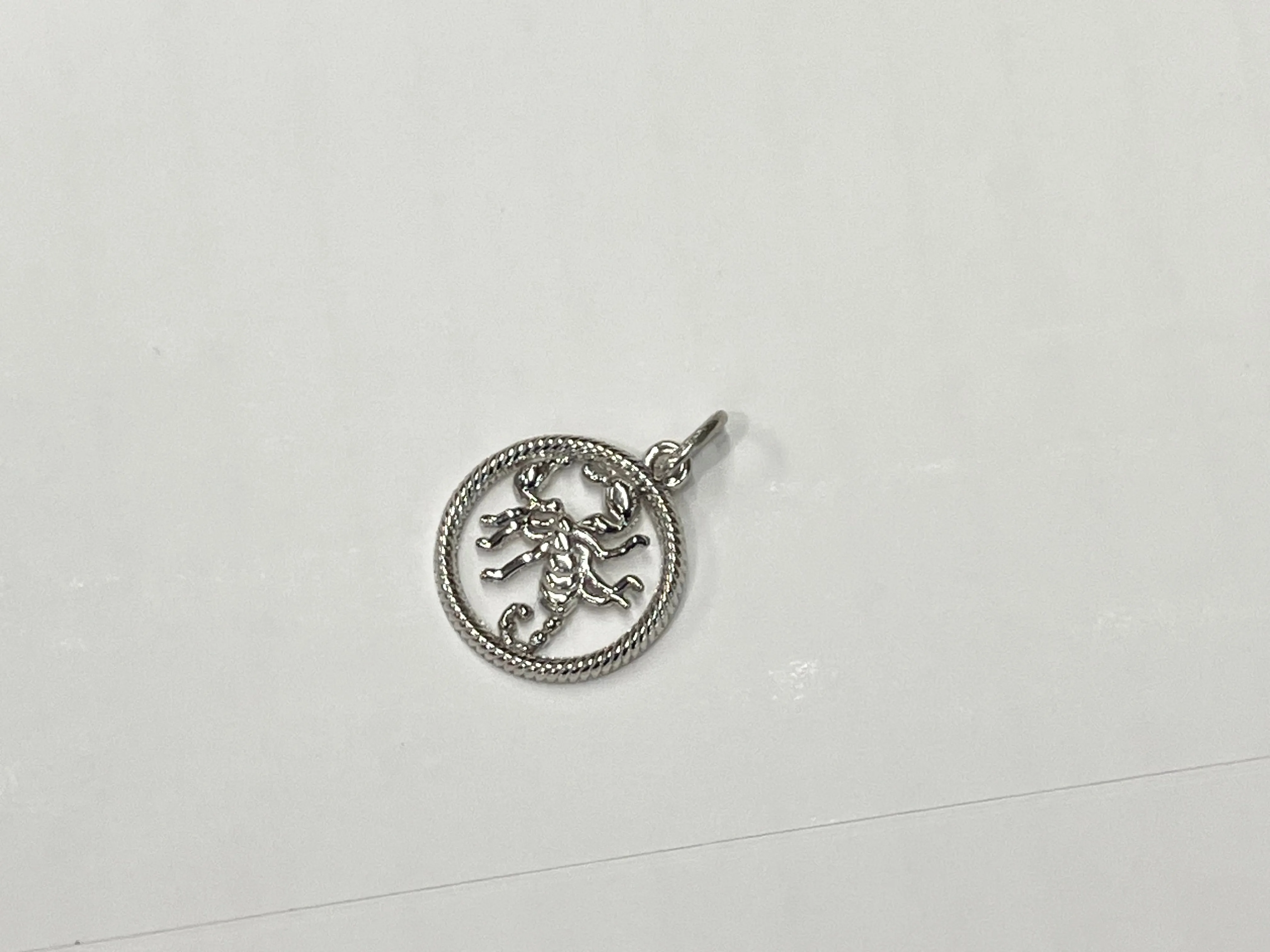 Scorpio Silver Charm