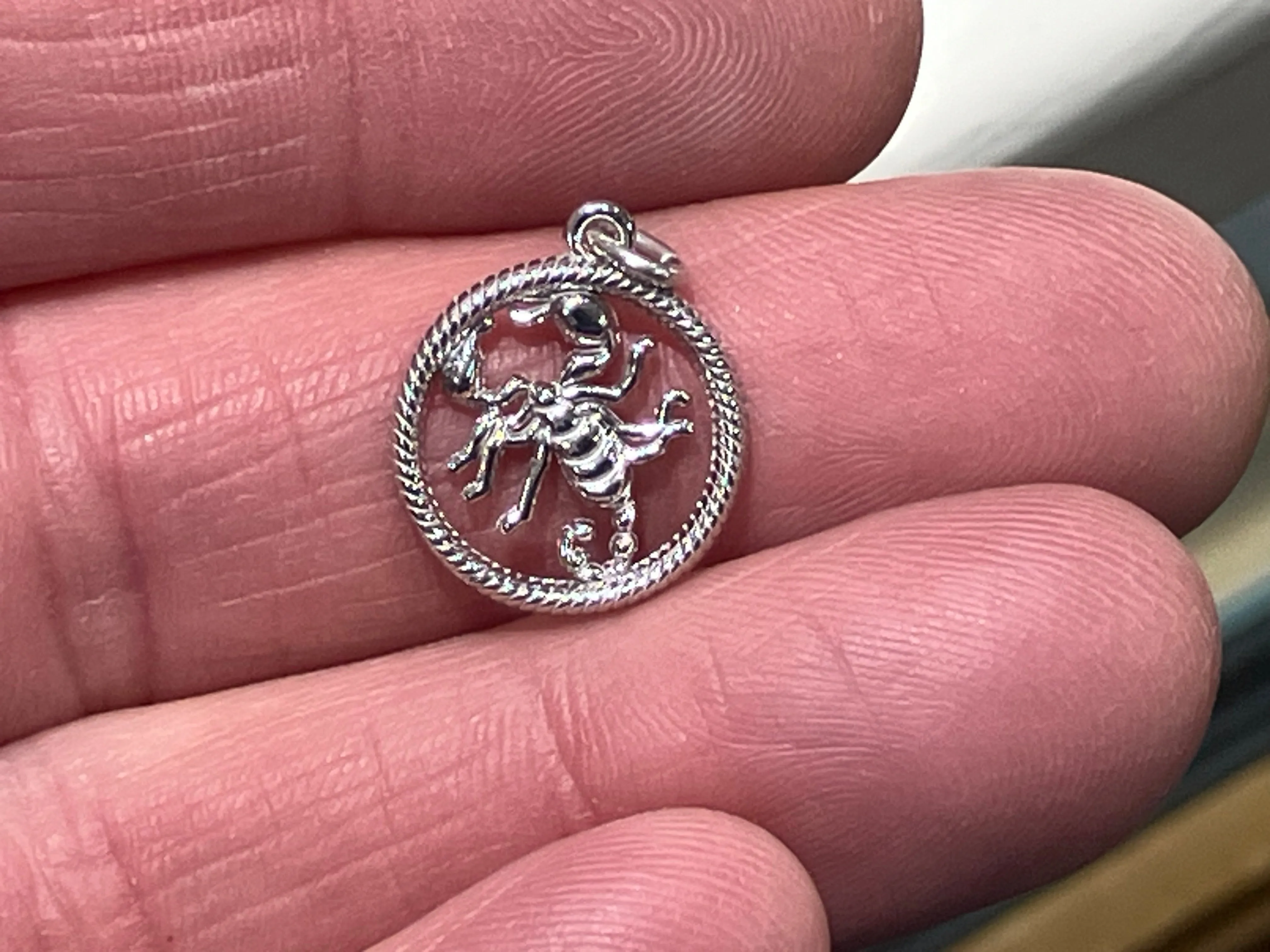 Scorpio Silver Charm