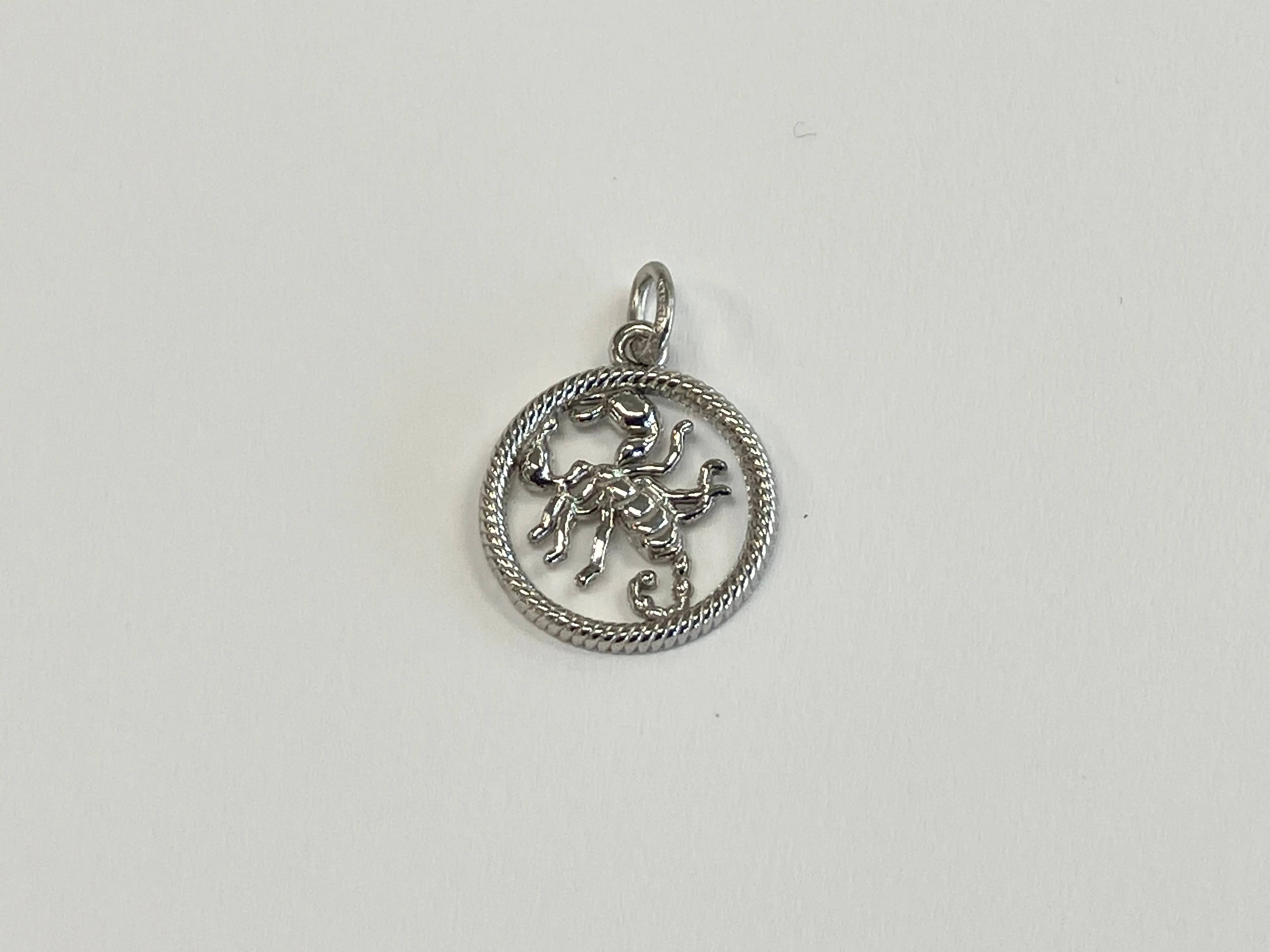 Scorpio Silver Charm